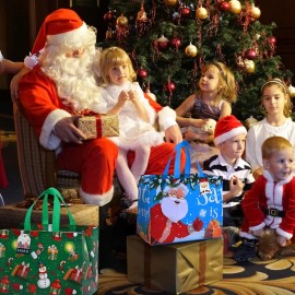 24 Pack Christmas Gift Bags X- Large Reusable Non-Woven Totes 12.6"x9.8"x6.7