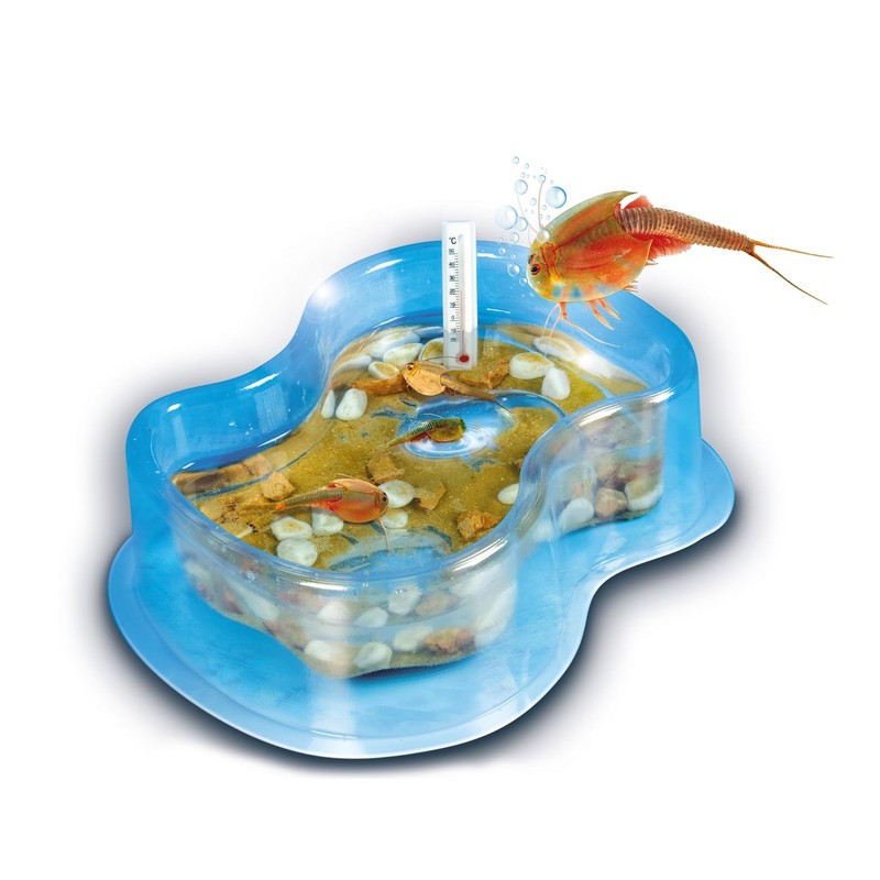 Clementoni – 62254.2 – Triops Bildungs- und Wissenschaftsspiel
