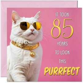 85th Cat Birthday Card for Women - Purrfect Birthday - Funny Cat Birthday Card for 85 Year old woman Ladies Eighty Five Eighty Fifth Nan Grandma Mum Aunt Sister Mum Friend Kitty Kitten