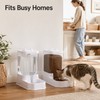 4L Gravity Pet Feeder & Waterer Set for Cats &