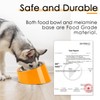 SuperDesign Mess Free 15° Slanted Bowl for Dogs and Cats,