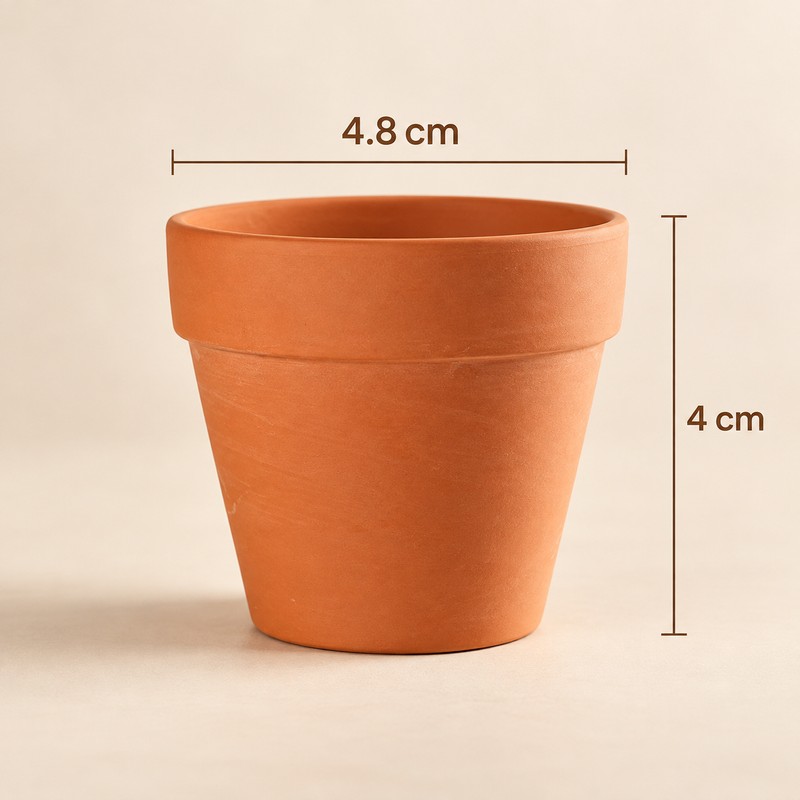 16-Pack Mini Terracotta Pots for Succulents & Cactus – 1.8-Inch