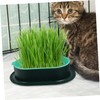 Levemolo 5Pcs Soilless Cat Grass Planter Set Hydroponic Catnip Box