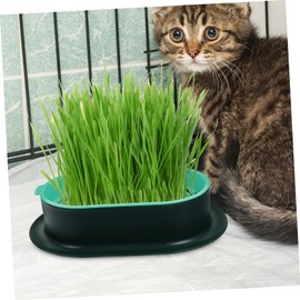 Levemolo 5Pcs Soilless Cat Grass Planter Set Hydroponic Catnip Box for Home Durable and Lightweight Cat Planting Nursery Easy to Clean and Use