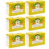 TADIN TEA BAG LEMON GINGER BLEND NAT, 24 Count (Pack