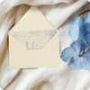 Aster Smooth Envelopes