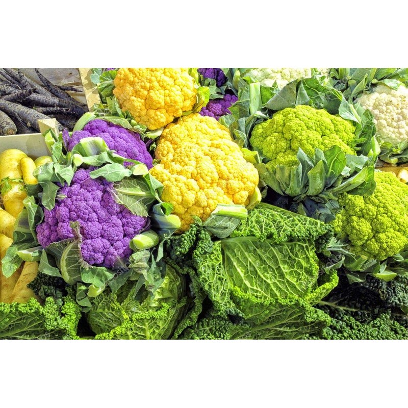Colorful Cauliflower Mix of 5 Varieties Seeds for Planting Around