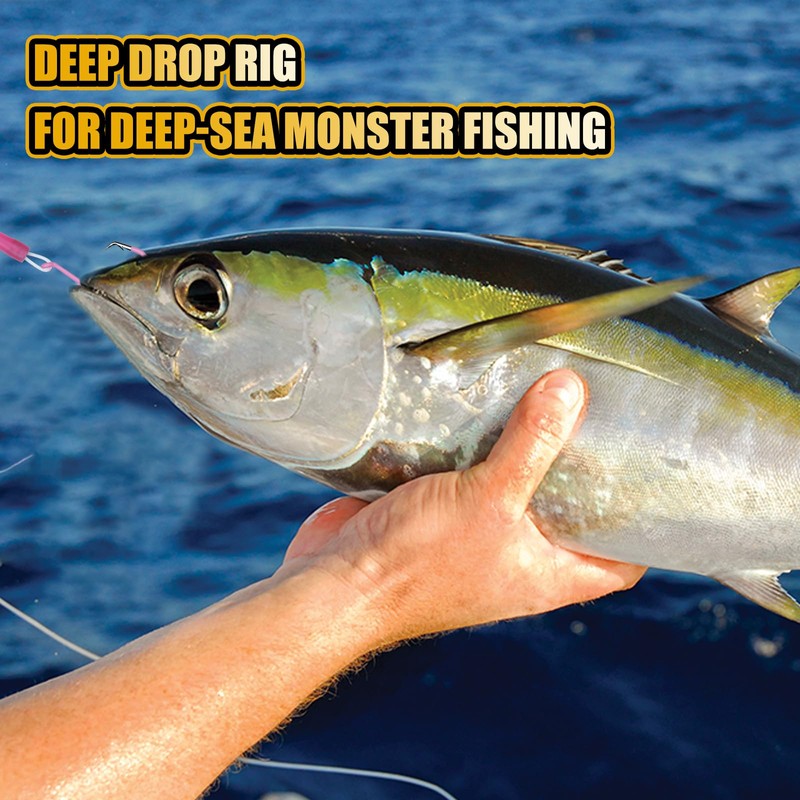 CWSDXM 2-Pack Luminous Deep Drop Rigs, 3 Circle Hooks 8/0