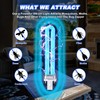 Kittmip 3 Pack 9W Bug Zapper Replacement Bulbs Compatible with
