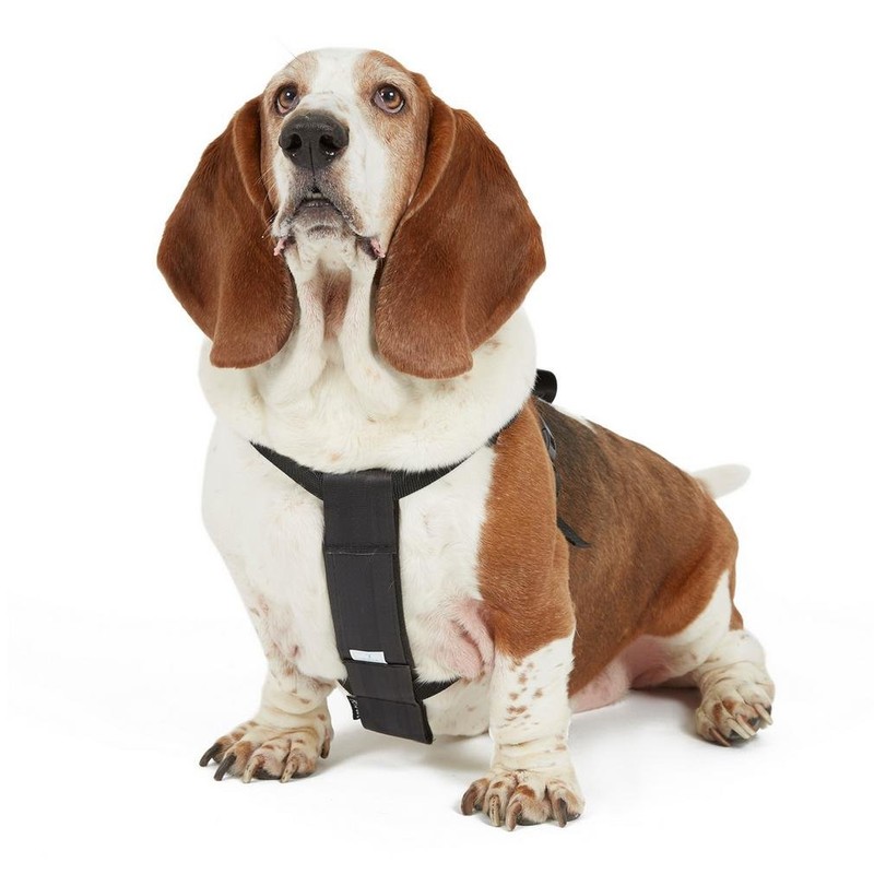 Pets Go 2 Dog Safety Harness For Walking & Car