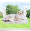 Foldable Plush Cat Window Perch Hammock Soft Hanging Bed with Steel Frame & Strong Suction Cups, Cat Window Sill Holder for Glass Windows, Supports 18KG, Comfortable Lounge Seat for Cats (White, L)