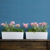 Skelang 2-Pack Self Watering Planter, Rectangle Flower Pot with Water
