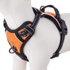 PHOEPET No Pull Dog Harness Medium Reflective Front Clip Puppy