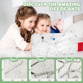 Ant Farms with Connections, Ant Farms for Kids & Adult, Live Ants for Ant Farm Educational Science DIY Toy Kit - STEM Learning Toy - Great Gifts for Boys & Girls (Castle)
