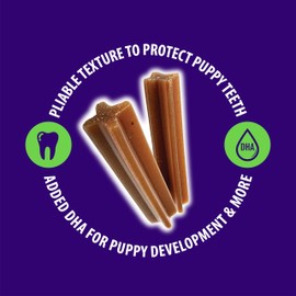 N-Bone Puppy Teething Sticks Jumbo Pumpkin Flavor Harvest Version, 7 Counts, 7.28-oz Bag