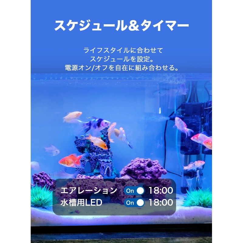 TP-Link Tapo Smart Wi-Fi Power Strip 1 USB-C 2 USB-A