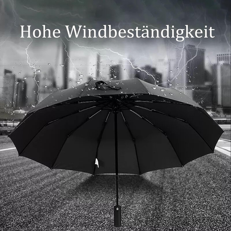 ACESOME 12 Ribs Automatic Umbrella Windproof Strong,Reinforced Windproof Umbrella, Portable