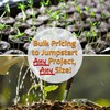 White Chia Sprouting 4.5 Lb ~1,368,000 Seeds – Certified Organic,