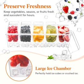 BLIVORRA Chilled Condiment Server with 5 Removable Containers, FREE Stainless Steel 5 Spoons, 5 Forks and 2 Tongs | Upto 80Oz Ice | BPA Free material | (Condiment Server with Seperate Lids)