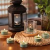 Pine Forest Scented Tea Lights Candles – Pine Green –
