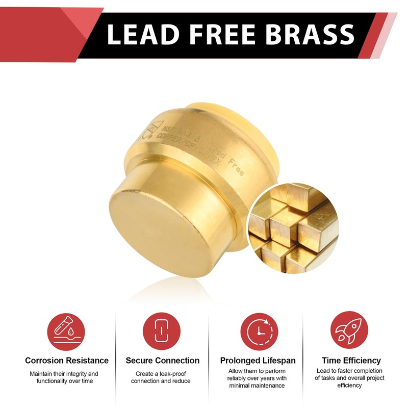 (Pack of 2) EFIELD 1/2 Inch Plug End Cap Push-Fit