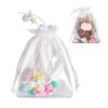 Clear Doll Display Bag, Portable Protective Case with Pom Poms