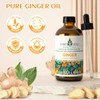 EVOKE OCCU Pine Needle Essential Oil 4 Oz, Pure Ginger