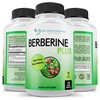 DOCTOR RECOMMENDED SUPPLEMENTS Berberine Plus 1200mg Per Serving - 120