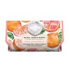 Michel Design Works Oversized Triple Milled Bath Soap Bar, Large,