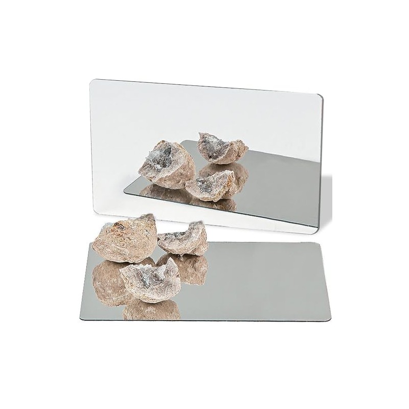 Fun Express Specimen Mirrors - 12 Pieces - Educational and