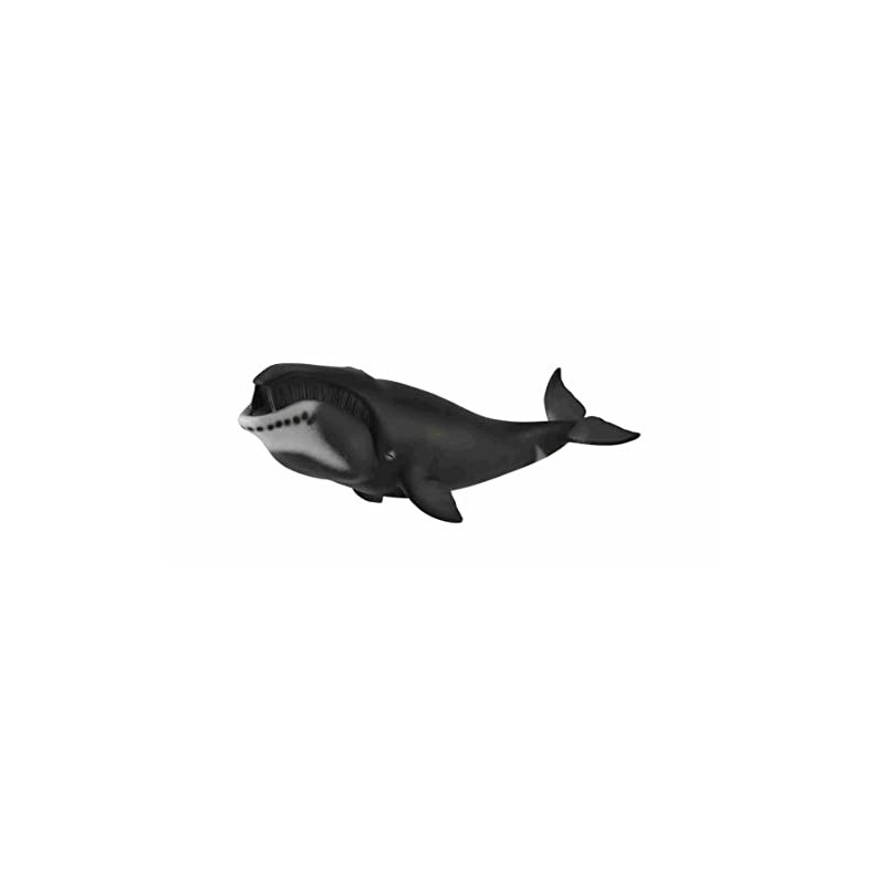 CollectA Bowhead Whale