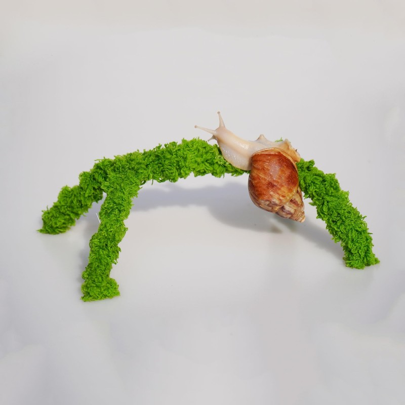 Jinymral 6 Inch Pet Snail Climbing Toys, Ideal Snail Terrarium