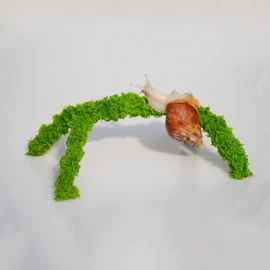 Jinymral 6 Inch Pet Snail Climbing Toys, Ideal Snail Terrarium Accessories