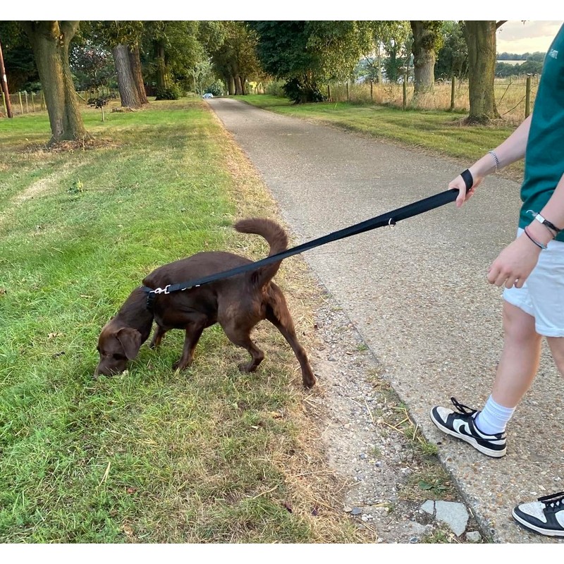 11ft Dog Training Lead Police Style Obedience Multi-Functional Dog Lead