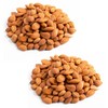Arashan Apricots Seeds - Dried Sweet Raw Apricot Seeds, Natural|