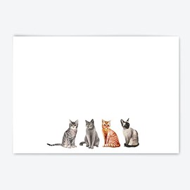 Me Loovely Four Cats Flat Notecard and Envelopes Set A6 Size Animal Greeting Card Thank You Cards for All Occasions | Christmas Gifts (Refill Pack of 20)