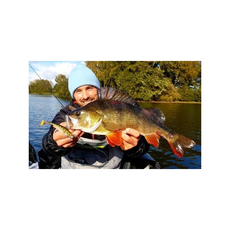 LMAB KØFI Perch Shad 14 cm (Kofi) Colour Chrome Tiger