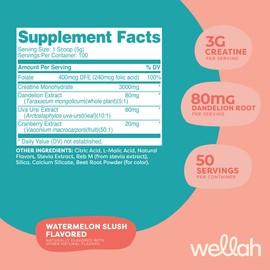Wellah Pump-It-Up Creatine (100 Servings, Watermelon Slush) - Creatine Monohydrate with Dandelion, Uva Ursi, & Cranberry Extract