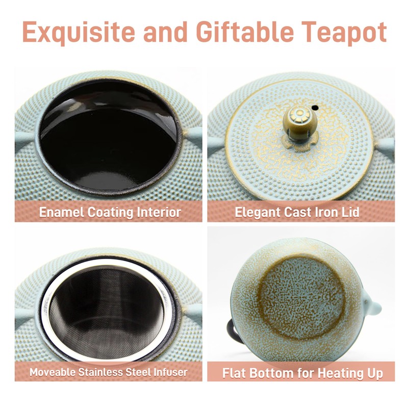 SECHUDO 30.4oz Small Cast Iron Teapot, Tea Kettle for Stovetop