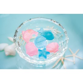 Lumica E29974 Craft Kit, Can Be Done at Home! Science & Craft Series, Let's Make Marine Soap! Summer Vacation, Free Research, Homework