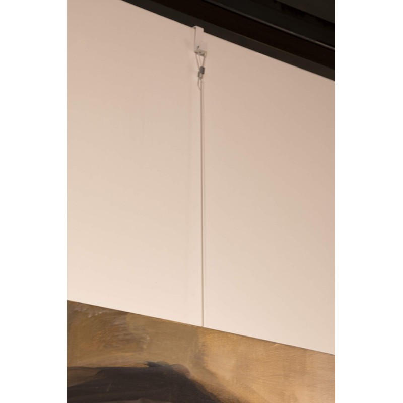 STAS Art Hanging Steel Cable with Loop 250 cm
