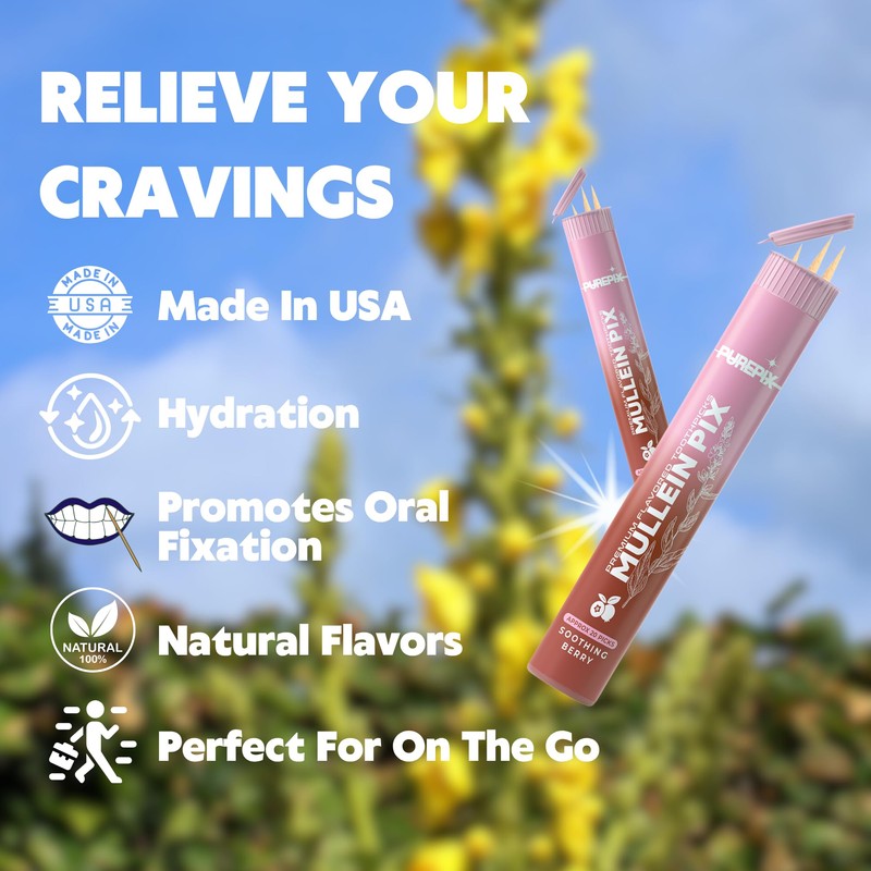 Mullein Pix, Extra Thick Boosting Flavored Toothpicks with Mullein Leaf