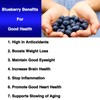 Blueberry Wild Blueberry Extract Whole Fruit 10,000 mg Strength NON-GMO/Gluten
