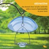 Birds Choice BLUE DOME Protective Dome, Protective Cover for Hanging