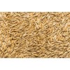 Thunder Acres Non GMO, Certified Organic, Oat seed (1/2 lb.)