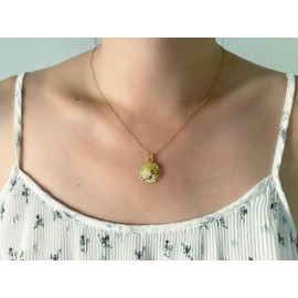 Genuine Gold Sand Dollar Necklace for Women, Real Sand Dollar Necklace, Gold Dollars, Gold Filled 22k Sand Dollar Necklace on a 14k Chain, Ocean Jewelry, Beach Jewelry