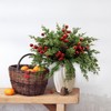 DOXISHRUKY 45pcs Christmas Artificial Pine Branches with Red Berry Stems