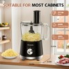Food Processor and Vegetable Chopper 600W BPA Free 12-Cup Bowl,