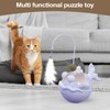 Cat Toys Interactive, Kitten Chasing Catnip Teaser, Sensory Exercise Treat