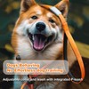 P-Leash,fangzi Dog Leash Slip Dog Leash Adjustable Slip Lead One-Piece